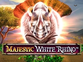 Majestic White Rhino